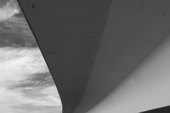 L_DXT3996